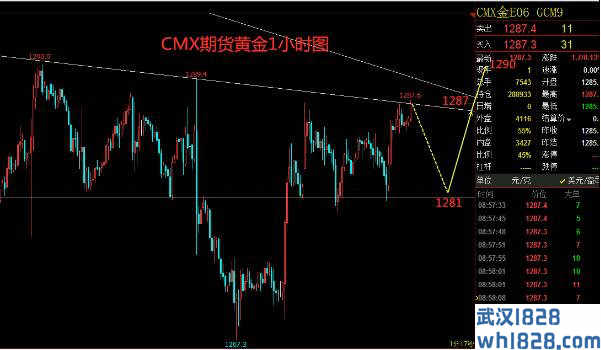 5.8现货黄金原油日内行情操作建议详解