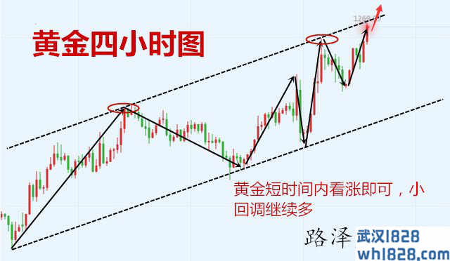 12.26黄金高位续涨之力强盛,原油反弹是否还能空