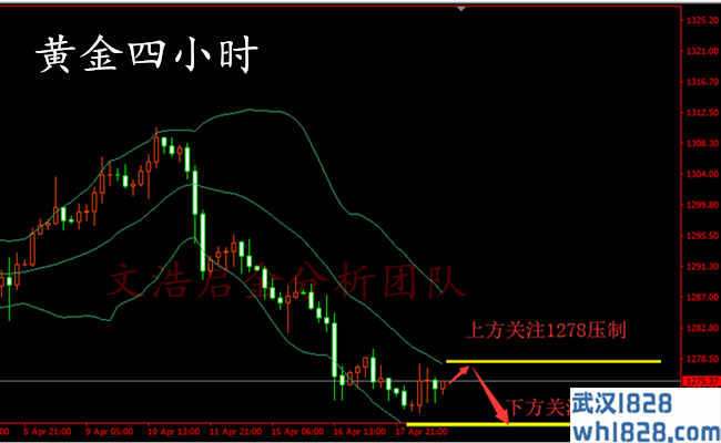 黄金的损失减少,黄金反弹到79做空